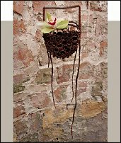 www.floristic.ru - Флористика. Mark Pampling-Марк Памплинг