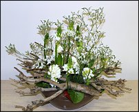 www.floristic.ru - . Life3-Tomas De Bruyne (),Max van de Sluis ()  Per Benjamin ().