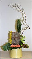 www.floristic.ru - . Life3-Tomas De Bruyne (),Max van de Sluis ()  Per Benjamin ().