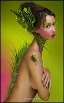 www.floristic.ru - .  