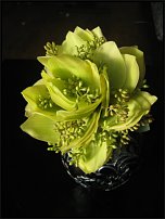 www.floristic.ru - .  