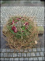 www.floristic.ru - .  