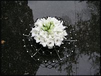 www.floristic.ru - .  