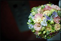 www.floristic.ru - .  