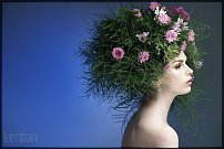 www.floristic.ru - .  