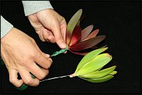 www.floristic.ru - . Step-by-step