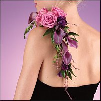 www.floristic.ru - .    