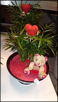 www.floristic.ru - .   