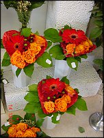 www.floristic.ru - .   