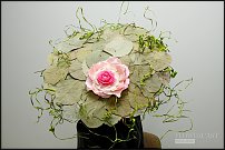 www.floristic.ru - .  