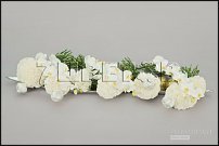 www.floristic.ru - . Jouni Seppänen