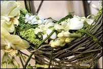 www.floristic.ru - . Life3-Tomas De Bruyne (),Max van de Sluis ()  Per Benjamin ().