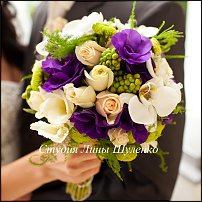 www.floristic.ru - .  .