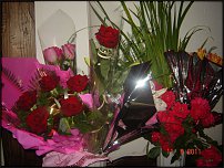 www.floristic.ru - .  