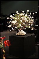 www.floristic.ru - .     IPM Essen, Germany