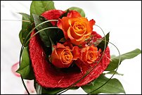 www.floristic.ru - .   