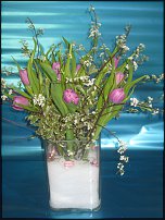 www.floristic.ru - .    -  2012 !