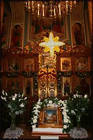 www.floristic.ru - .  
