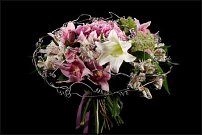 www.floristic.ru - .   