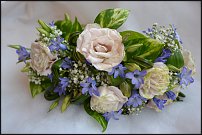 www.floristic.ru - .    -  2012 !