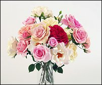 www.floristic.ru - .      