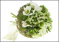 www.floristic.ru - .  .