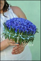 www.floristic.ru - .  .