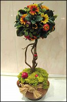 www.floristic.ru - .      .