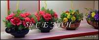 www.floristic.ru - .       ...