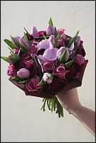 www.floristic.ru - . Amy Ford