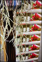 www.floristic.ru - .       , 