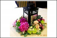 www.floristic.ru - .  .