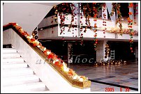 www.floristic.ru - .  .