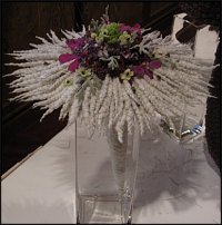 www.floristic.ru - . Andy Djati Utomo -  