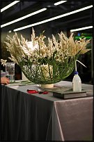 www.floristic.ru - .       , 