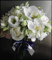 www.floristic.ru - .  .