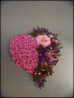 www.floristic.ru - .  