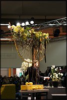 www.floristic.ru - .     IPM Essen, Germany