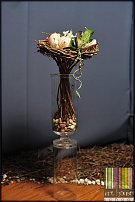 www.floristic.ru - .    "-"