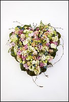 www.floristic.ru - .  