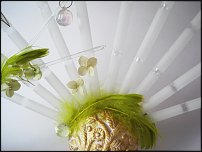 www.floristic.ru - .    -  2012 !