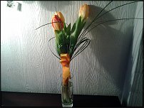 www.floristic.ru - . !!!!!