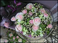 www.floristic.ru - .      .