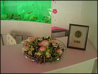 www.floristic.ru - .      .