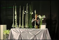 www.floristic.ru - .       , 