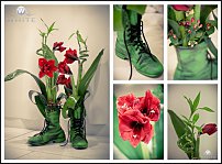 www.floristic.ru - .  .  .     23- 