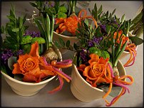 www.floristic.ru - .       - ?