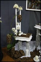 www.floristic.ru - .    "-"