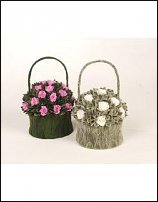 www.floristic.ru - .     -   !