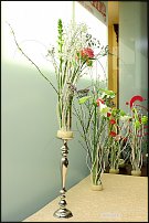 www.floristic.ru - .  